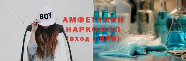 индика Алзамай