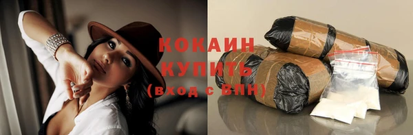 индика Алзамай