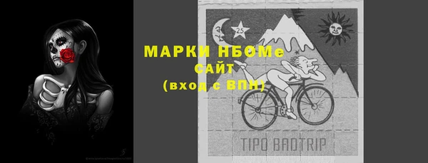 индика Алзамай