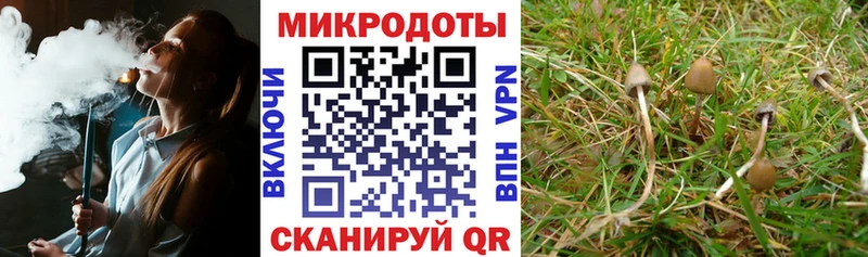 магазин продажи Егорьевск Псилоцибиновые грибы мицелий